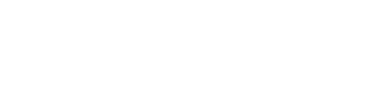 Nurse Leader Careers Logo, all white